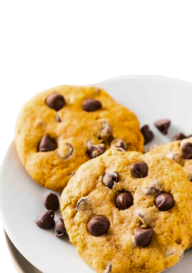 Delicious gluten-free pumpkin chocolate chip cookies on a white plate